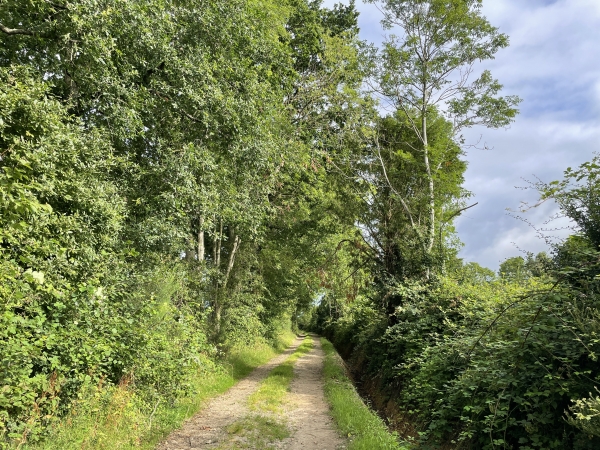 Chemin de la Cour Leclerc.