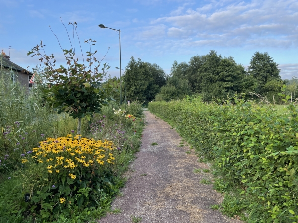 Chemin piétonnier le long de la D117.