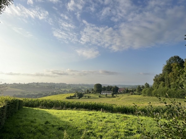 Exemple de paysage du Pays-de-Bray, vu depuis la D117.