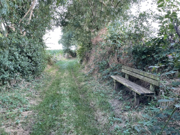 Il y a quelques bancs le long du chemin du Mont Jean.