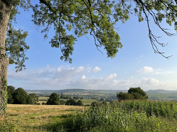 Vue sur les paysages du Pays-de-Bray depuis le chemin.