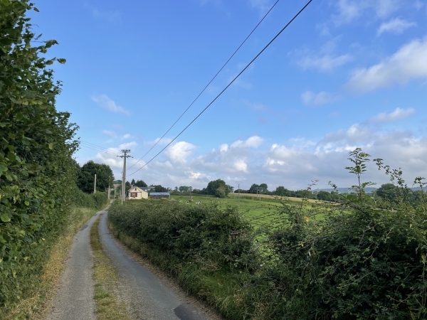 Nous suivons le chemin du Bois Hatrel pour fermer la boucle. (Regard arrière)
