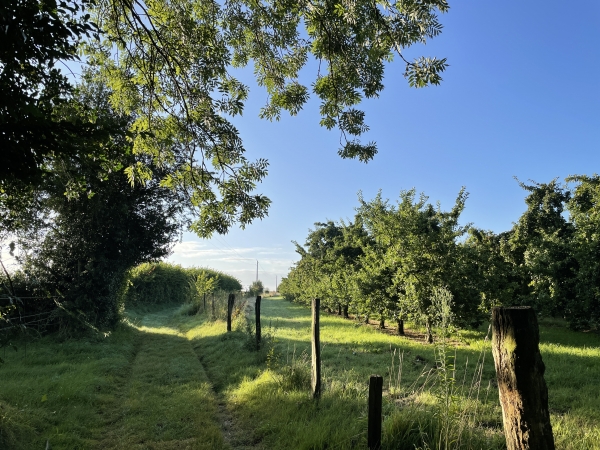 Nous voilà dans la Campagne du Mont Crocq, sur le plateau agricole.