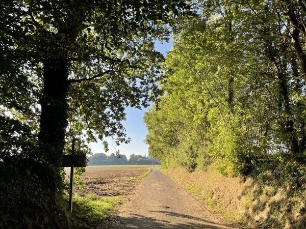 Nous quittons Autigny par la petite route du Pollet en direction de Brametot.