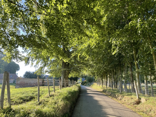 Entrée dans Brametot. Nous allons contourner le bourg par les chemins.