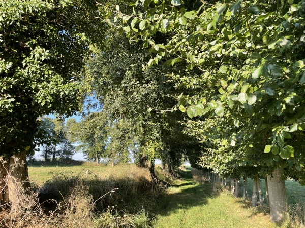 Un long chemin rectiligne contourne le bourg de Brametot.