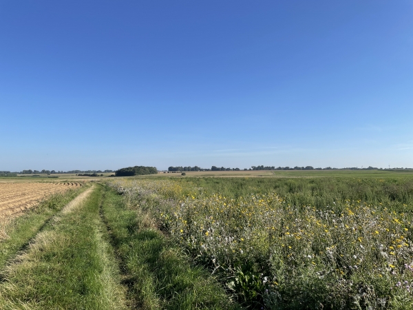Nous rejoignons le GR212B à Sassetot-le-Malgardé et le suivons à travers la Plaine de Brametot.