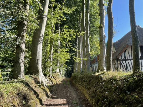 Nous entrons dans Crasville-la-Rocquefort par une succession de chemins entre maisons, prés et vergers.