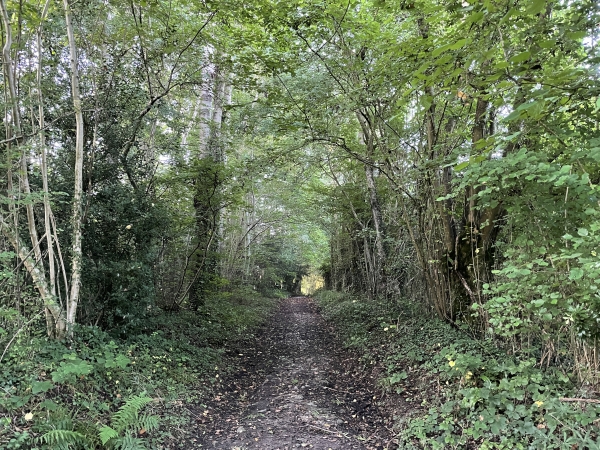 Nous passons le lieu dit Dragonnerie, qui donne son nom au circuit, et traversons le bois de La Chapelle.