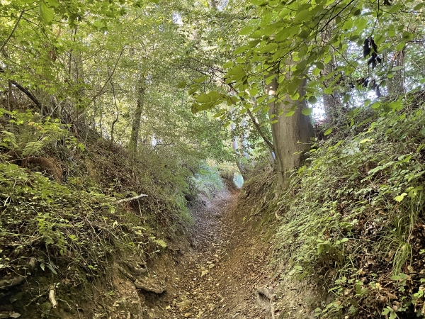 Nous arrivons dans la plaine des Longs Champs par ce chemin creux.
