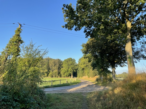 A La Lande, nous allons suivre cette petite route à gauche, pour retrouver très vite un nouveau chemin.