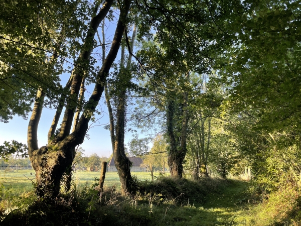 Nous avons passé La Villeneuve. Ces lieux dits, ne sont souvent composés que d'une ferme ou de quelques maisons.
