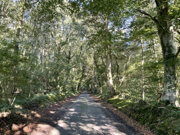 Au Bois des Fains, nous allons quitter les routes pour retrouver les chemins et tourner vers l'ouest.