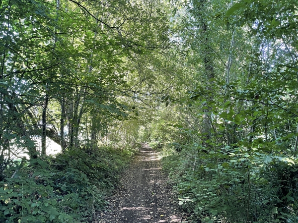 Nous marchons ici le long du camping des Etangs du Bois Guillaume. Ce camping propose des emplacements de 1200 à 4000m2 avec étang privatif ! 32 emplacements seulement, il faut réserver !