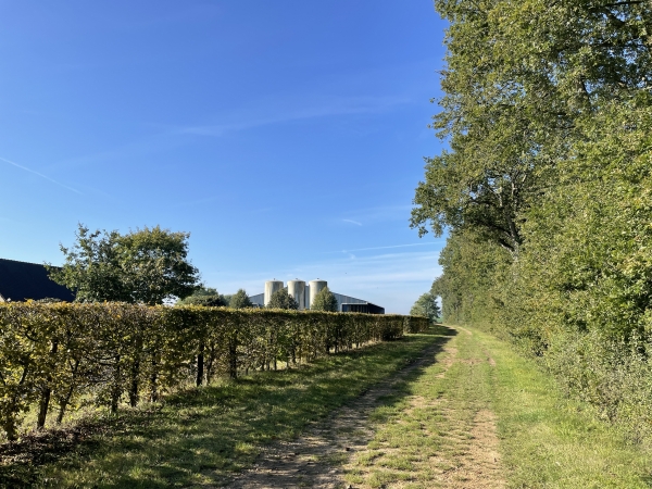 Nous longeons la ferme des Buttes en direction de la rue de Rosney.