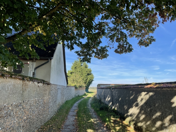 Nous sortons du village par l'impasse du Vallot qui devient rapidement un chemin.