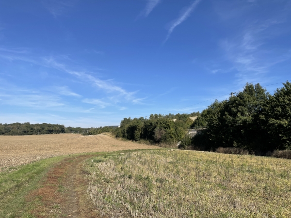 Nous retrouvons la ligne Mantes-la-Jolie - Cherbourg. Nous allons passer sous la voie ferrée, la longer, et la traverser à nouveau 2 fois.