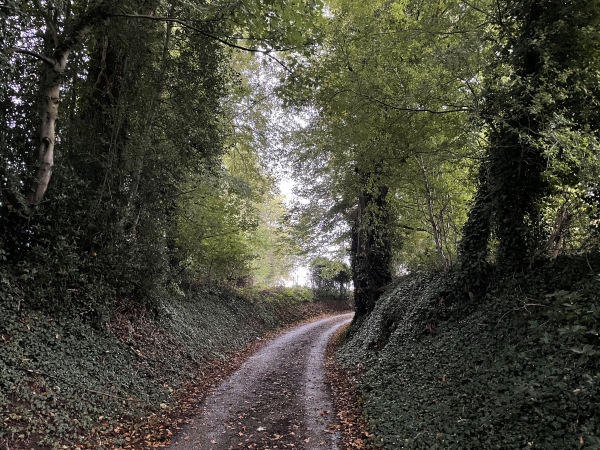 Nous montons vers le hameau de la Corbière.