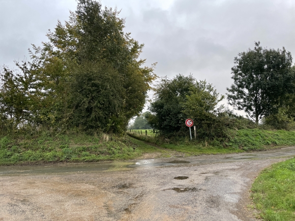 Nous traversons la rue de Ste-Catherine et prenons le chemin en face.