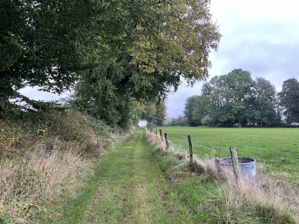 Nous retrouvons le charmant chemin de la Corbière, qui fait souvent partie de nos circuits près d'Auffay.