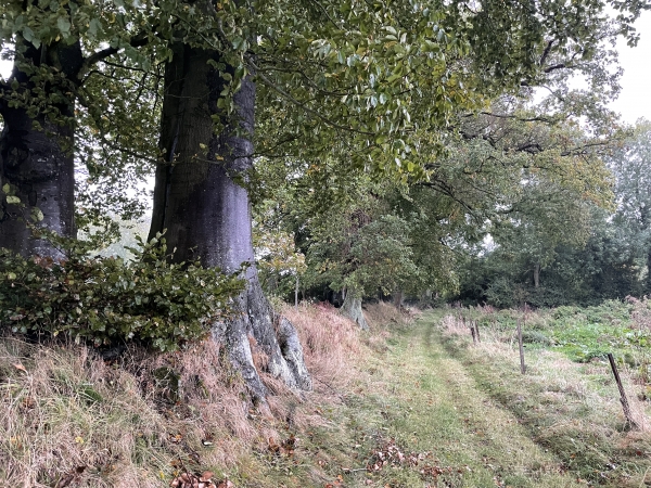 Nous approchons du hameau et du centre équestre de la Corbière.
