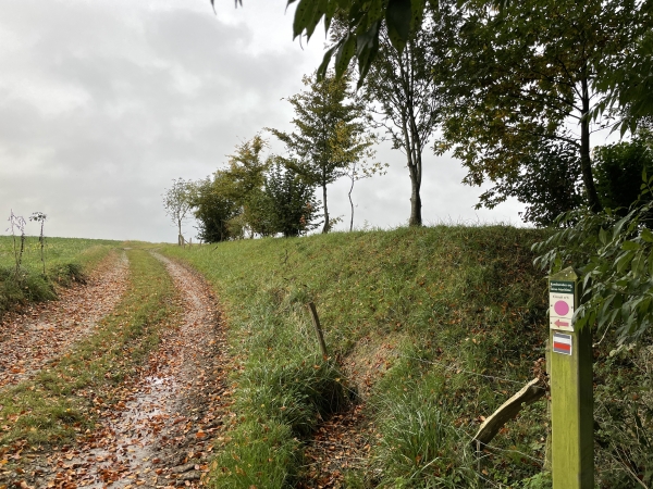 Nous quittons la D296 et suivons le GR210, appelé le chasse-marée, en direction de Notre-Dame-du-Parc. On peut voir à droite, la balise du GR et celle de notre itinéraire.