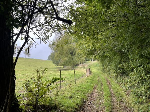 Toujours sur le GR210, nous longeons les bois et montons en pente douce vers Notre-Dame-du-Parc.