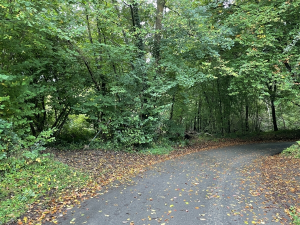 Nous suivons la petite route de Longtuit, rectiligne mais déserte, que nous quittons ici en prenant le chemin de gauche.