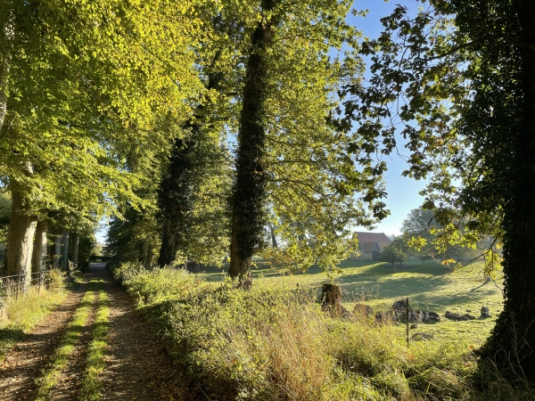 Nous arrivons au Fond de Longueil, nous restons sur le GR212 pour le moment.