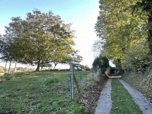 Nous montons le chemin des Ruettes à Demottais et restons sur le chemin, contrairement au GR212 qui tourne à mi-pente.