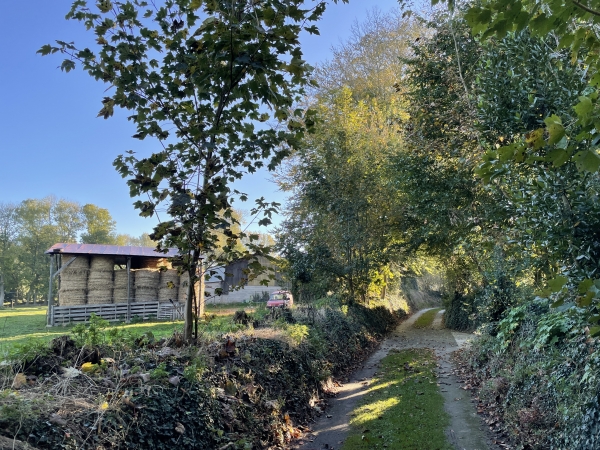 Nous arrivons au Haut de Longueil.