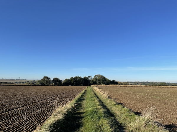 Nous traversons la plaine agricole en direction du centre de Longueil.