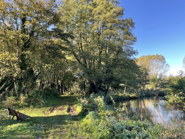 Le chemin serpente dans la verdure en bordure de trois zones humides, constituées par la Saâne, le marais et la mare. Cet écosystème réunit la faune et la flore des eaux courantes de la rivière et celles des eaux stagnantes.