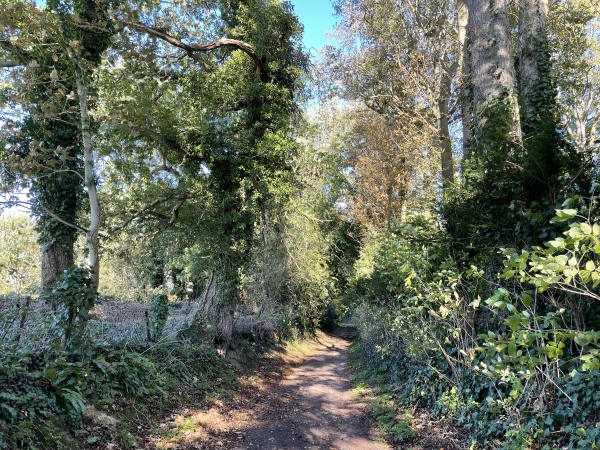 Nous entrons dans Quiberville par le chemin de la Roseraie.