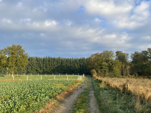 Peu après l'église, nous tournons vers le nord sur le chemin du Bois Gamard.