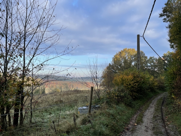 A la sortie du bois, nous voyons déjà la vallée de l'Oison.