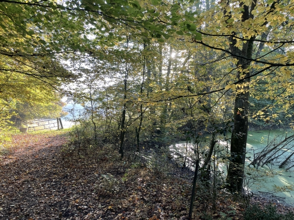 Regard arrière sur l'étang et le chemin à la naissance de la Vallée Nerval.