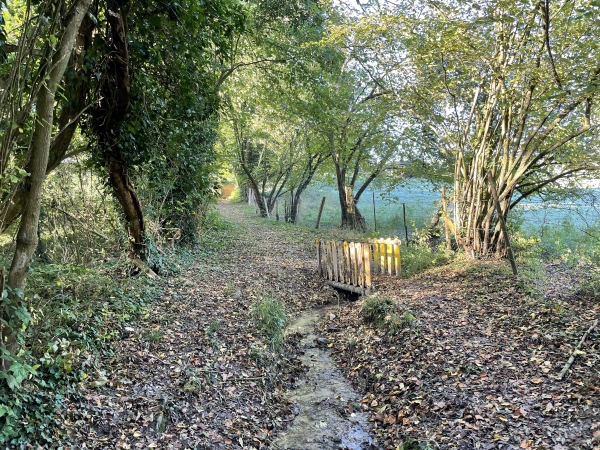 Quelqu'un a eu le souci d'installer ce petit pont sur le chemin de la Procession !