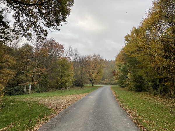 Nous partons du parking de la route des Vaux, et marchons vers la D40 pour la traverser et monter en face.