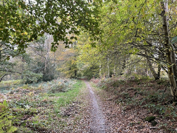 Nous arrivons au sommet, sur le chemin de la Briqueterie que nous suivons vers l'est.