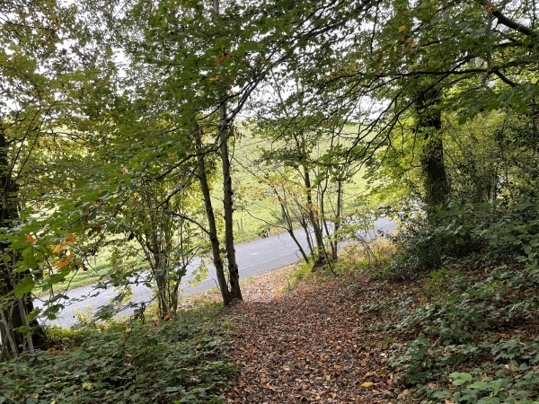 Nous avons quitté le chemin de la Briqueterie pour descendre vers la D281, que nous allons traverser pour continuer en face.