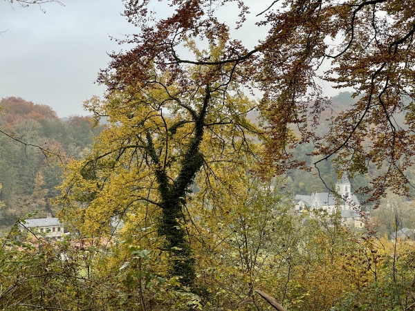 Depuis le chemin, on distingue déjà, en contrebas, le village de Sainte-Gertrude.