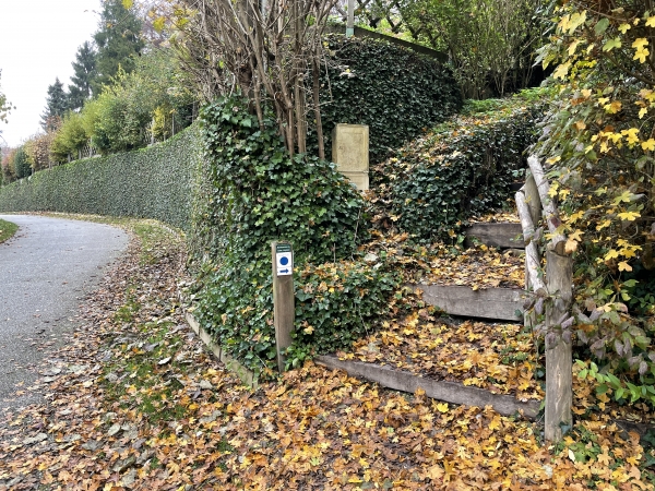 Nous quittons le chemin de la Boutille, pour monter cet escalier et rejoindre le chemin à mi-pente du plateau du Maulévrier.