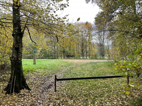Nous avons suivi l'ancien tracé du GR211, qui longe en forêt la route de Sainte-Gertrude, et débouchons sur le parking de la route des Vaux.