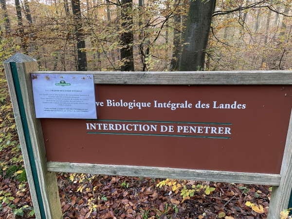 Nous longeons la Réserve Biologique Intégrale des Landes. Par respect pour cette réserve, nous ferons un petit détour au retour.