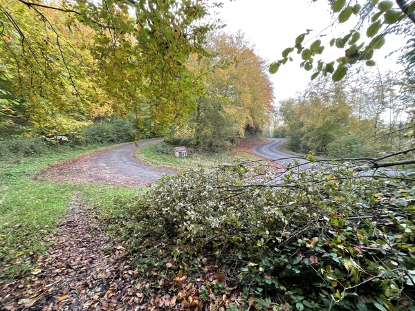 Nous rejoignons la route d'Aizier, que nous allons suivre sur 200 mètres pour trouver la voie romaine.