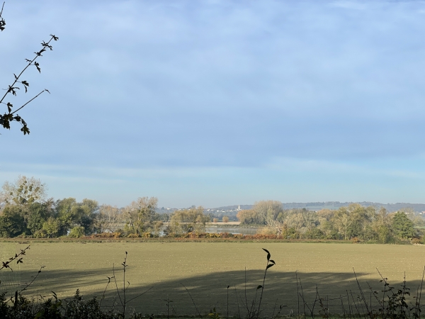 Quelques trouées dans la végétation permettent d'apercevoir la Seine.
