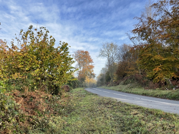 La voie romaine se confond ici avec la route d'Aizier, que nous allons suivre sur 500 mètres.