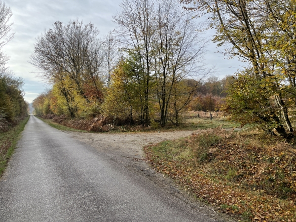 Pour contourner la Réserve Biologique Intégrale des Landes, nous devons suivre la route forestière de la Haye-Aubrée, avant de tourner ici à droite et retrouver les chemins.