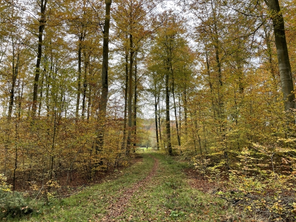 Chemin des Moulins, arrivée au parking près de la D131.
